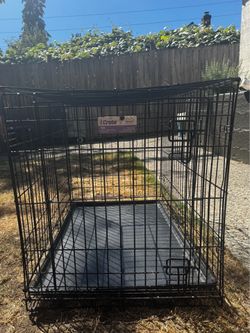 Metal Dog Crate