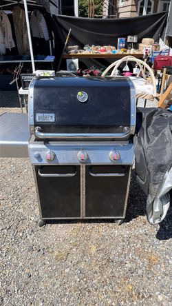 Weber Genesis 2