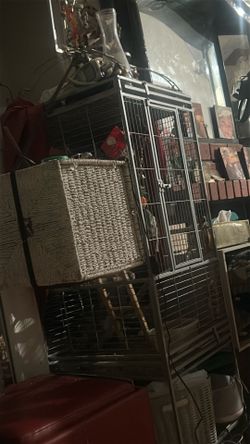 Cockatiel Bird cage and nesting box