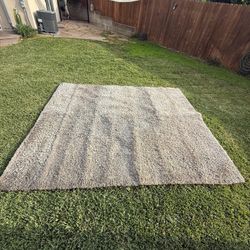 Surya GRIZZLY6-810 - 8 X 10 Rug 