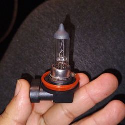 H11 Bulbs