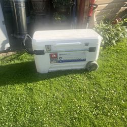 Cooler
