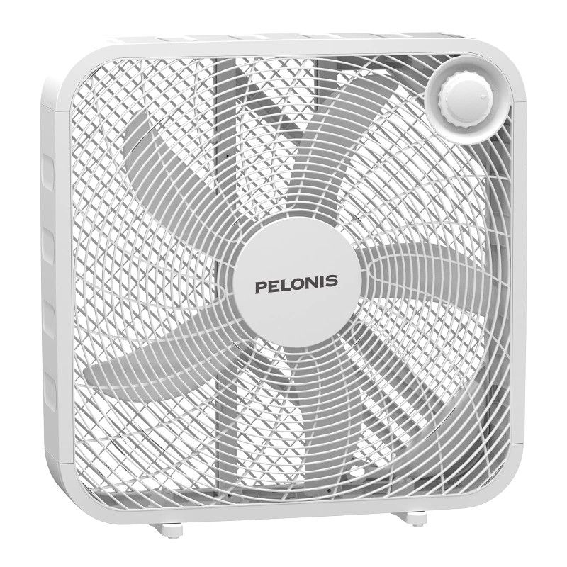 New Fan