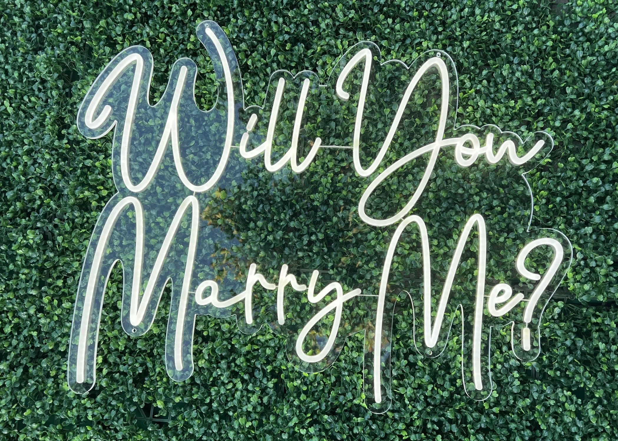 Will You Marry Me Neon Sign