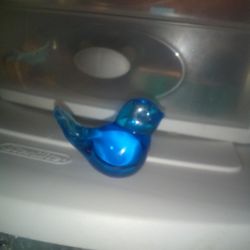 Sm. Blue Bird Of Paradise 