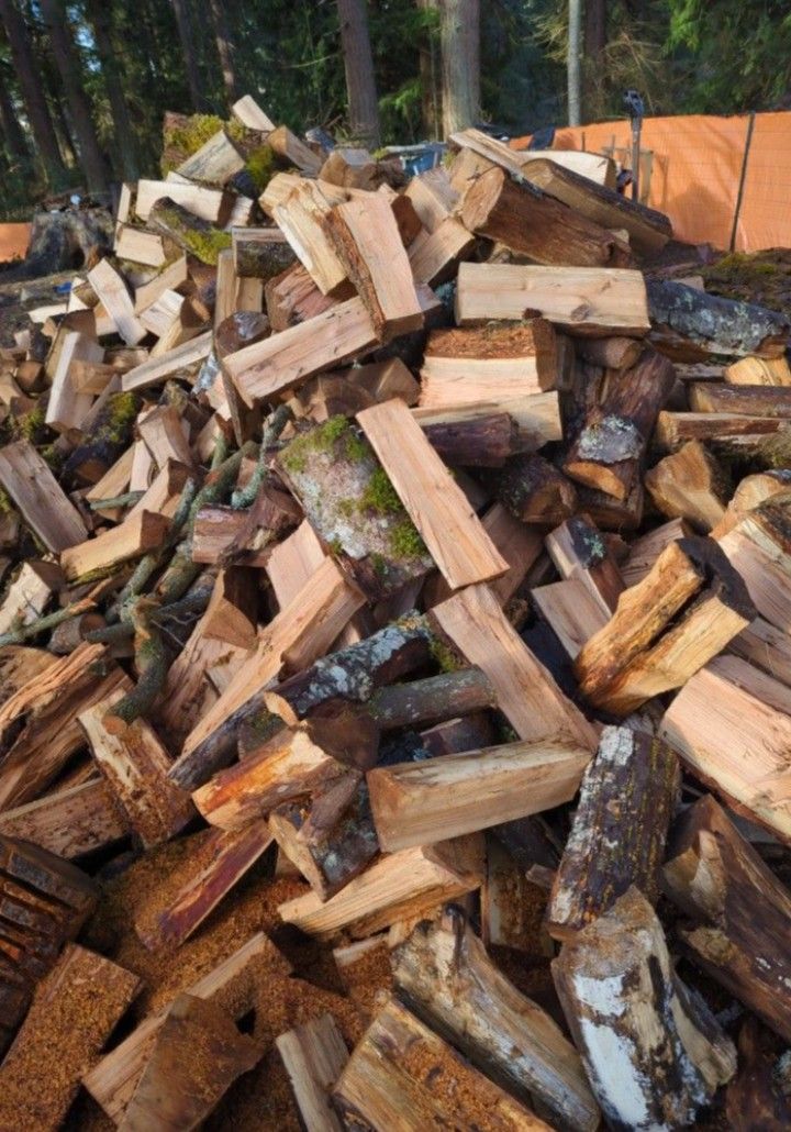 Premium Seasoned Maple Firewood