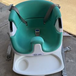 Einstein Booster Seat