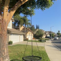 Kids Tree Swing