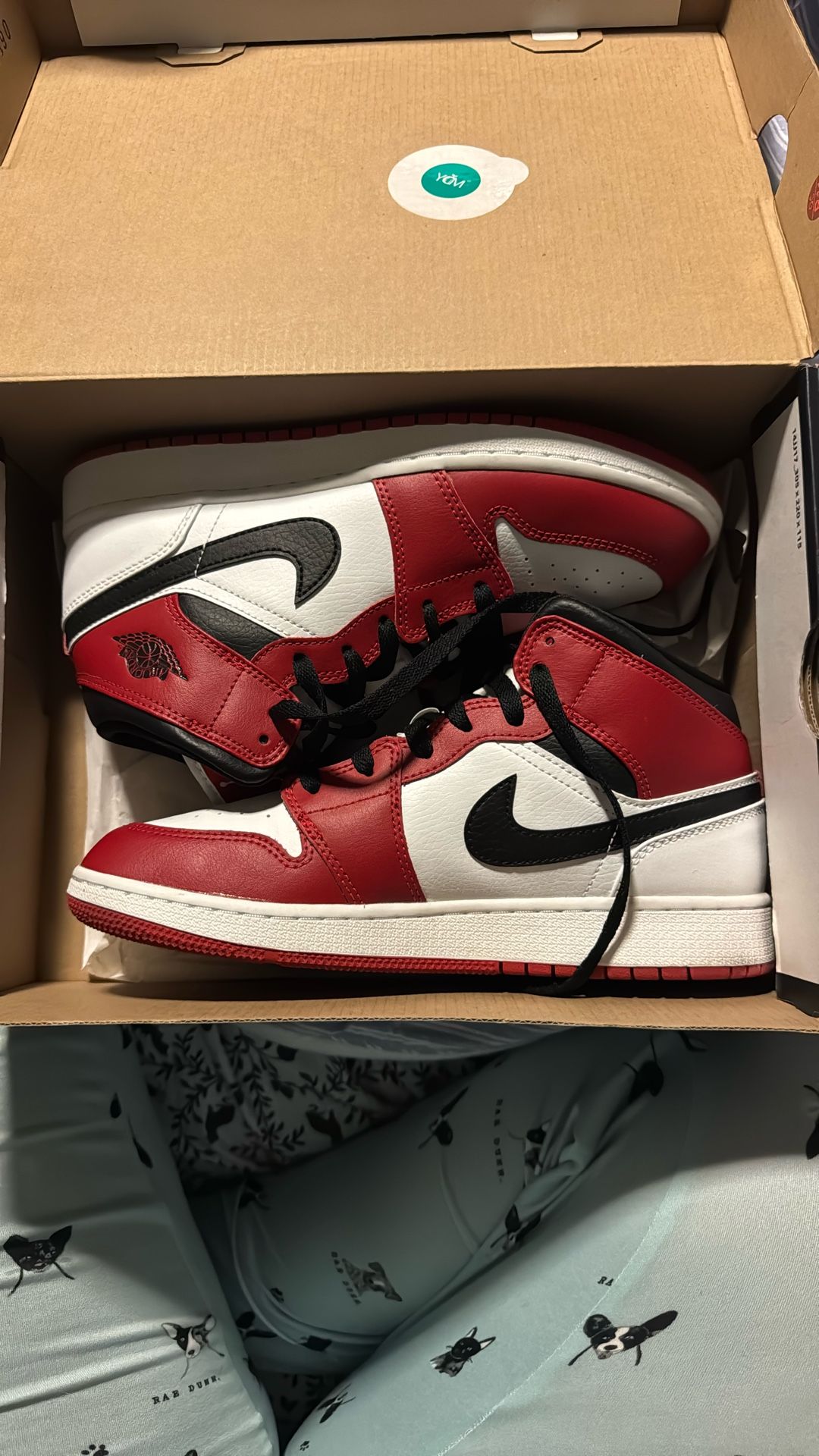 Air Jordan 1 Mid “Chicago”