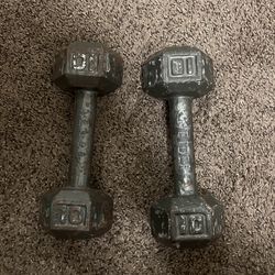10lb Dumbbells