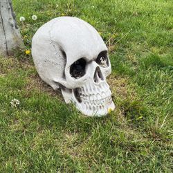 Lawn Skeleton! 