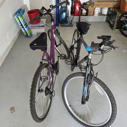 Two Roadmaster Bikes (Men/Women)