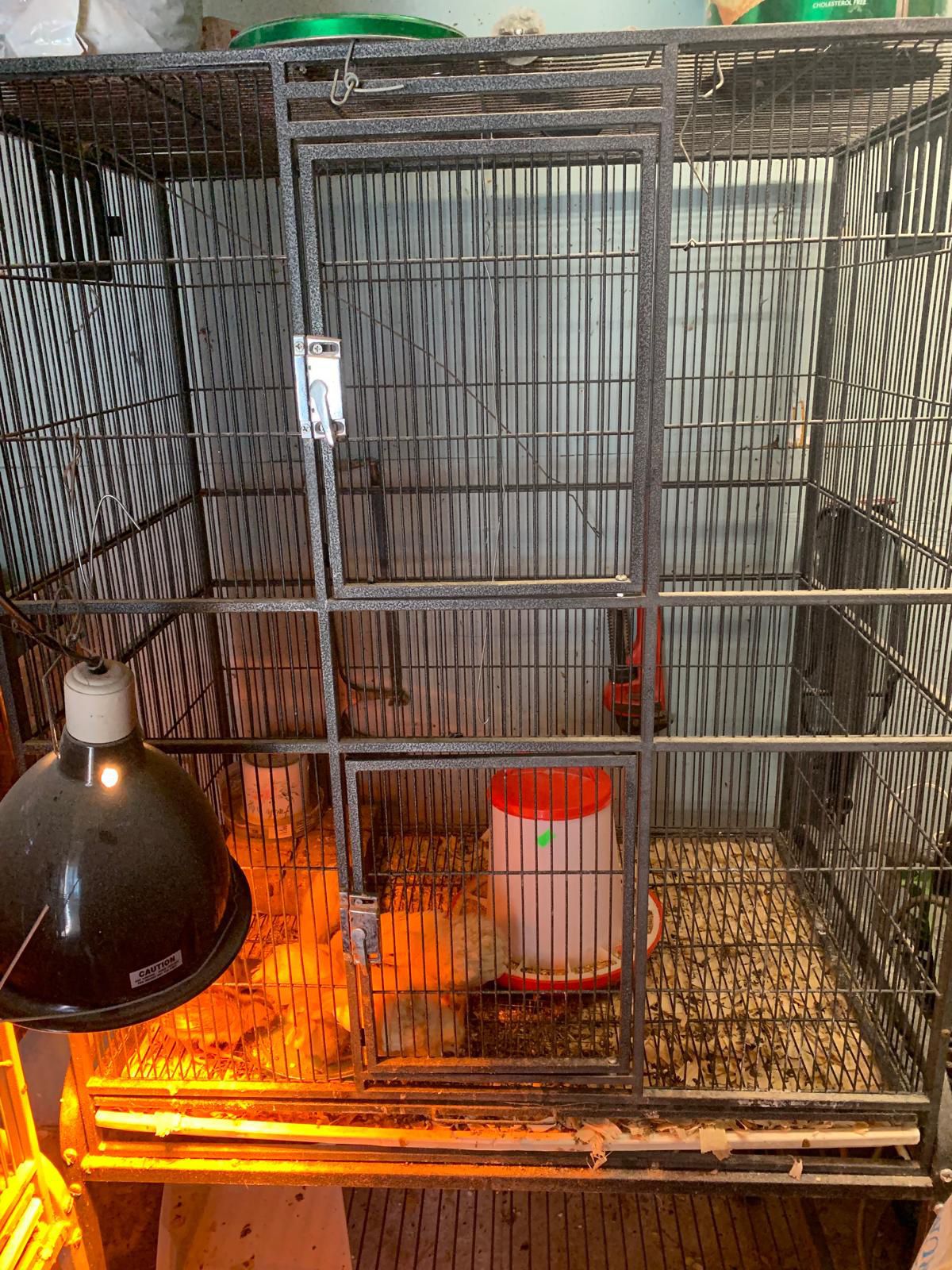 🤩🦜2 Large Bird 🐦 🦜 Cages with Tray 🦜 🤩