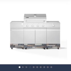 TYTUS Fresno Stainless Steel + Ash Stone 4 - Burner Liquid Propane Gas Grill 1 -Side Burner