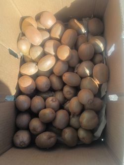 Box of kiwi