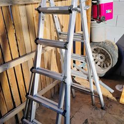 Ladder