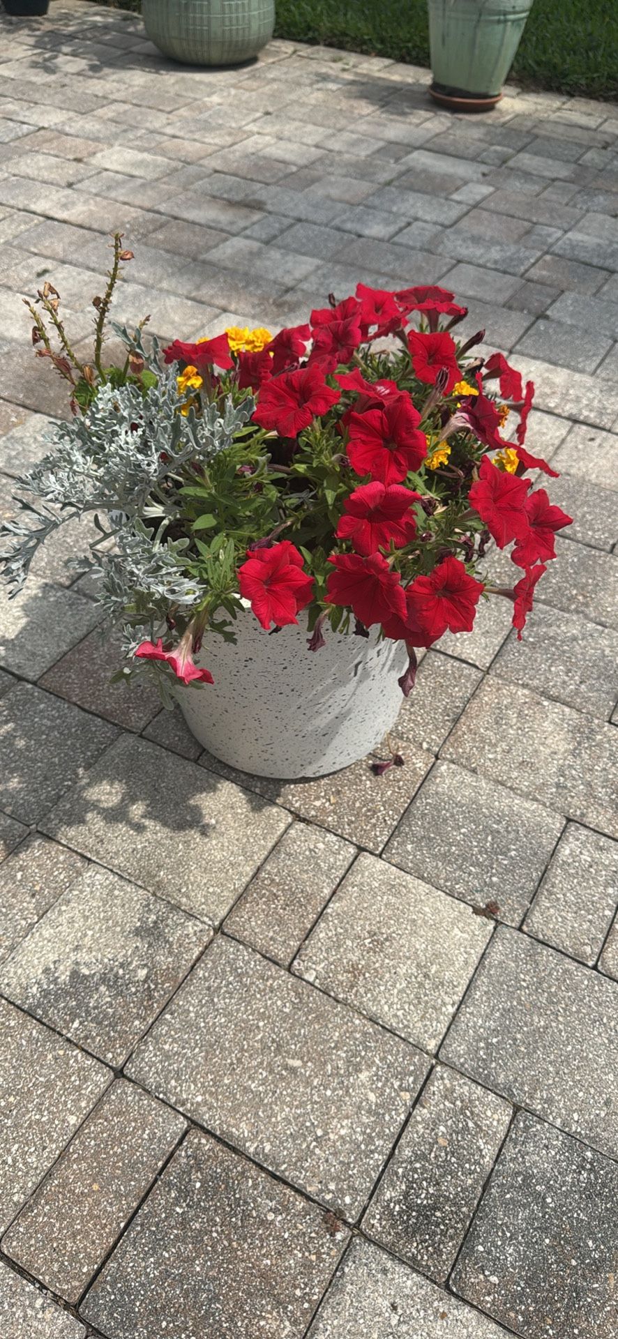 Flowers And Pot