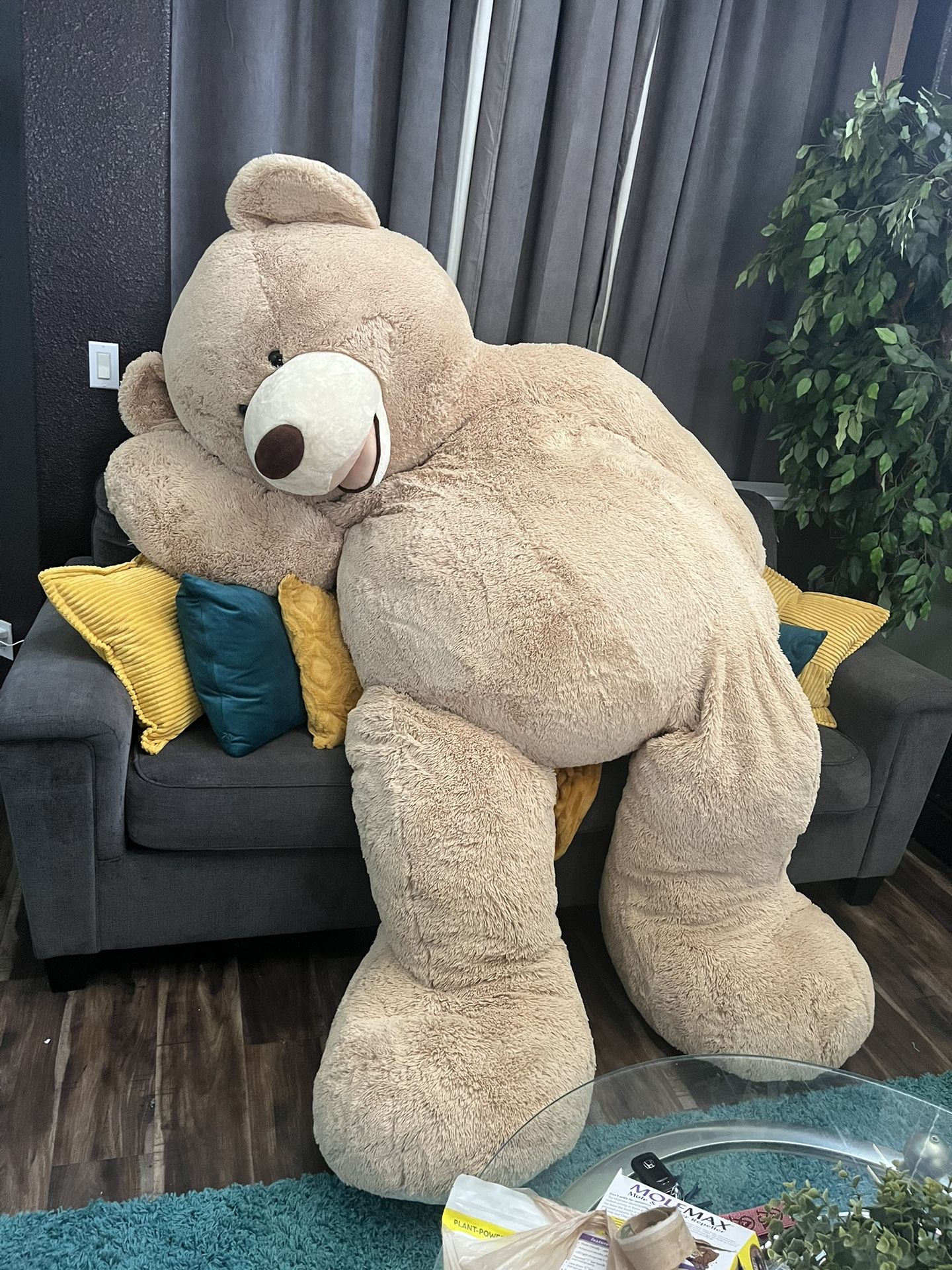 93" Costco Bear