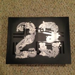 SPACE JAM JORDAN 11s - SIZE 10.5