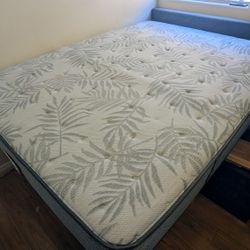 Sealy Posturepedic Carver 11" Firm, Queen Size, Like New