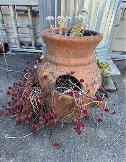Old Garden Pot (roughly 14in Tall)