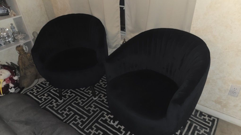 Coffee chairs Navy blue 2 cushioned