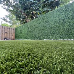 Ivy Artificial Wall And Artificial Turf 