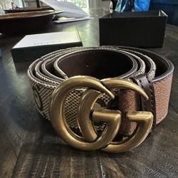 GG Belt
