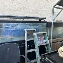 I Have To Large Fish Tanks W 80 Pounds Of Rock Asking 300 For Everything stands Are Included