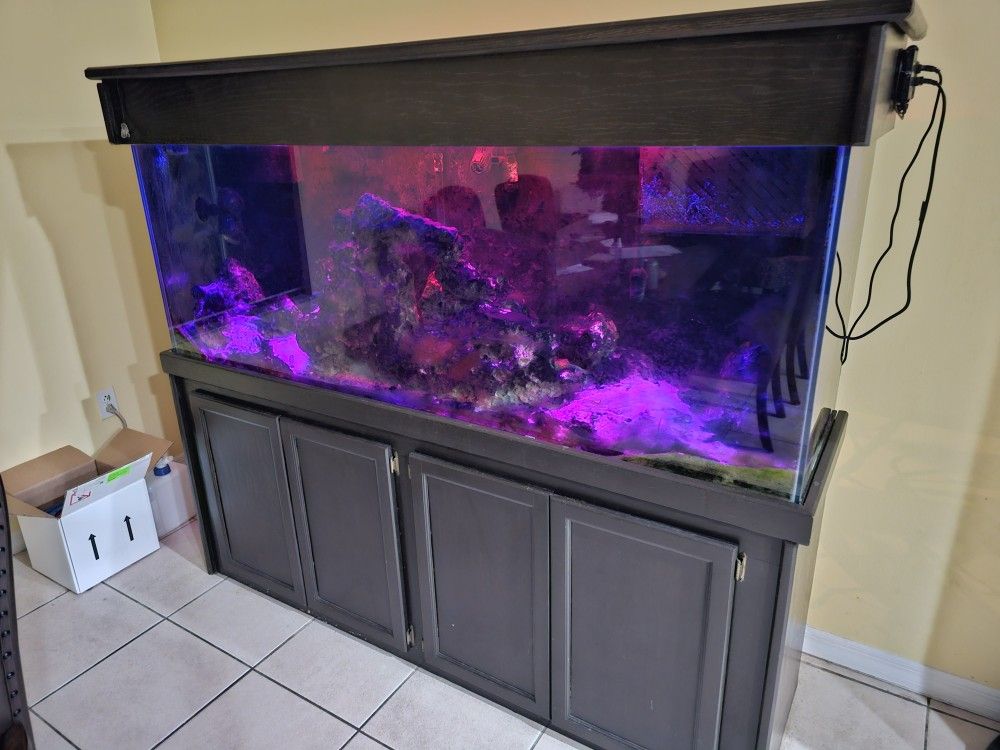 150 Gallon Aquarium with Cabinet