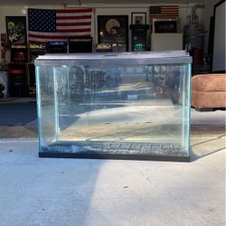 40 Gallon Fish Tank