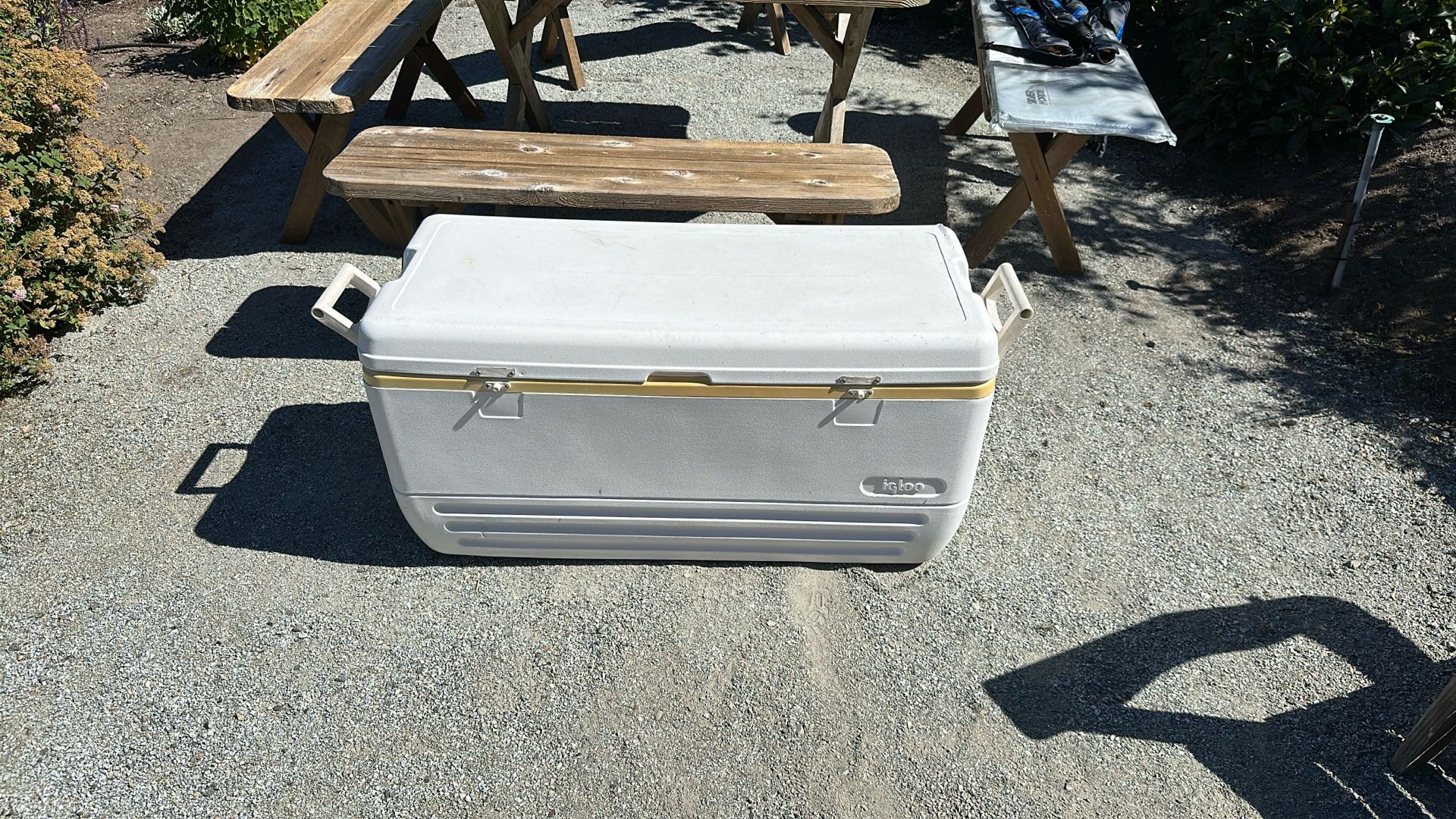 Igloo XL cooler
