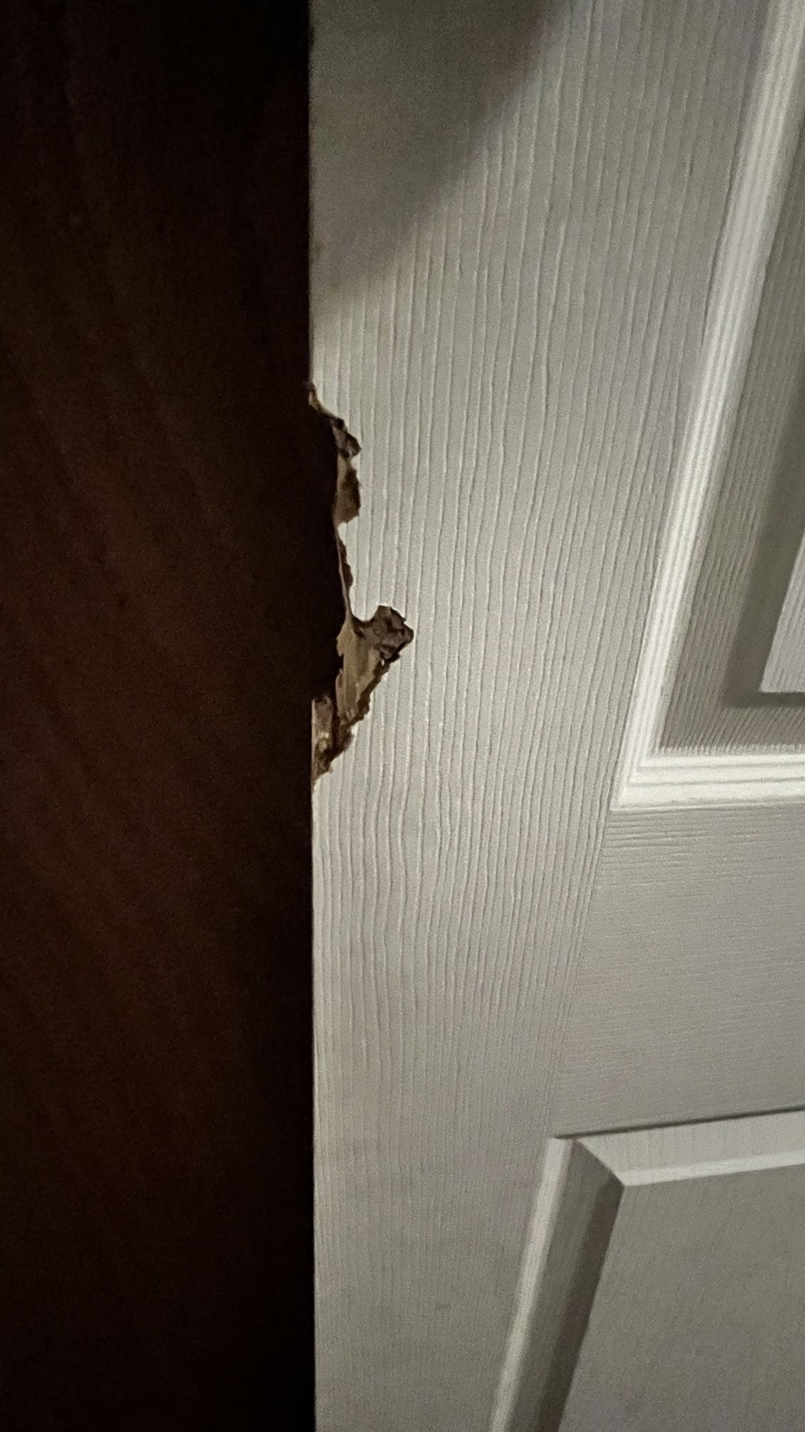 Decent Condition Bed Room Door 36x80in