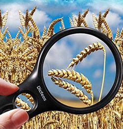 Hand-held Magnifier loope