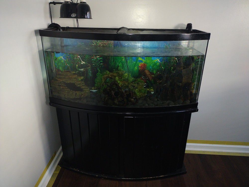 75 Gal Bow Front Fish Tank And Stand