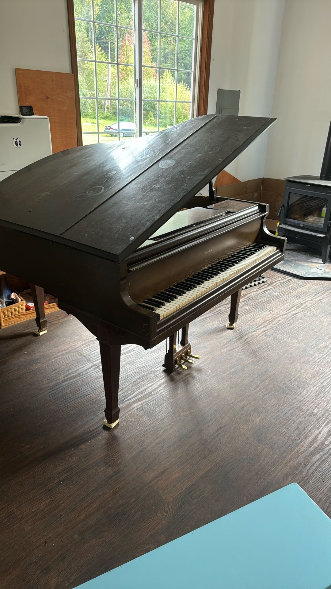 Baby Grand