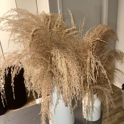 Pompeii Trees (Artificial) 