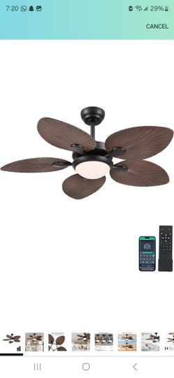 Ceiling Fan 