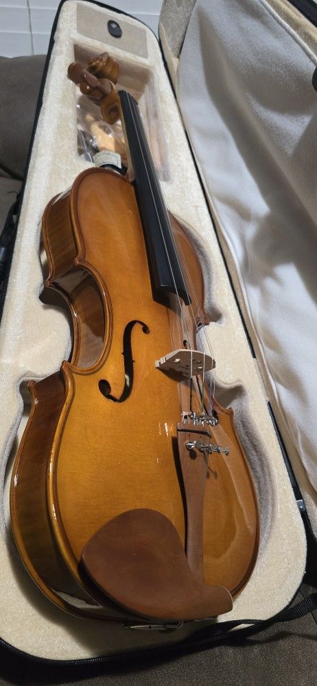 CECILIO VIOLA TAMAÑO GRANDE $ 120 OBO