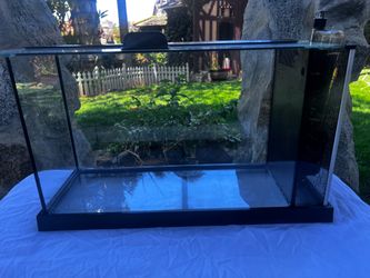 Fluval Black Spec V Aquarium Kit, 5 Gallon
