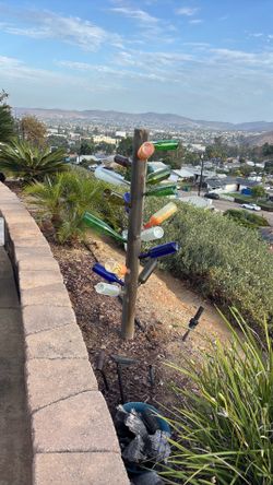 Bottle tree yard art