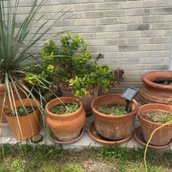 Pots and Fountain for Sale.