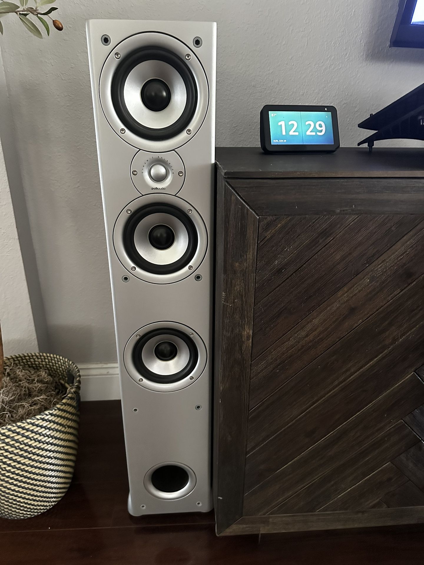 Polk/Denon Surround Sound