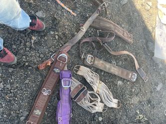 Horse cinches and pads starting $15