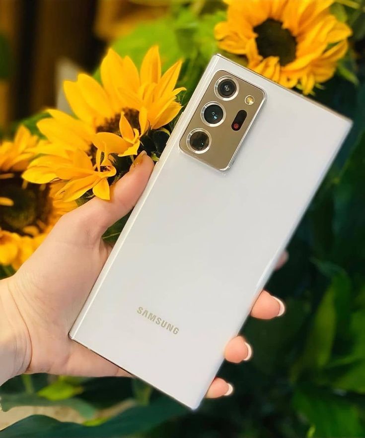 Samsung Galaxy Note 20 Ultra (Unlocked)