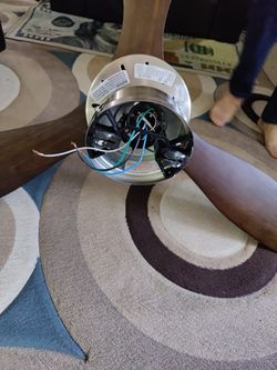 Ceiling Fan