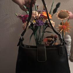 Vintage Coach Shoulder bag 