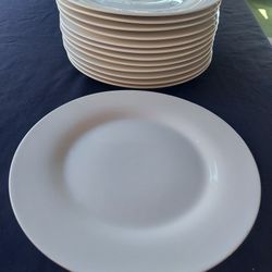 Ceramic Plates Over 150 Plates
