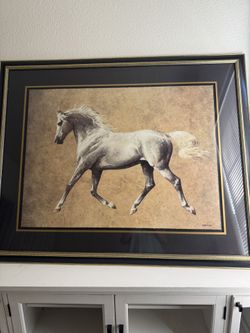 Framed Picture Jenness Cortez The Whitest Horse Framed Picture