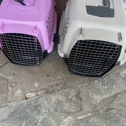 Cat/dog Cage 